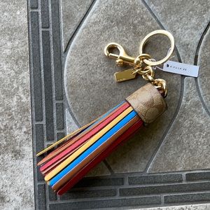 Coach Color Block Tassel With Key Ring / Dogleash Clip